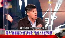 汪小菲录音爆料者视频,揭秘背后爆料者神秘面纱