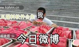 吃瓜大全爆料视频下载,独家爆料视频下载全攻略