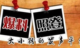 慧星最新爆料新闻,最新爆料新闻背后的惊人真相
