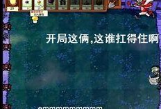 娱乐吃瓜酱植物大战僵尸,吃瓜酱带你领略欢乐农场保卫战