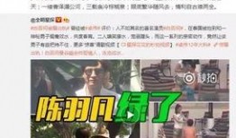 卓伟爆料某明星妻子视频,某明星妻子私密视频引发热议