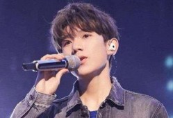 娱乐圈王源爆料视频是真的吗,娱乐圈王源爆料视频真实性揭秘