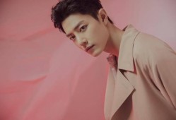 肖战王一博最新粉丝爆料,最新动态曝光，精彩瞬间引热议