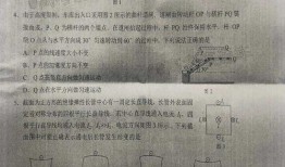 瑞金卿卿爆料最新消息是真的吗,最新消息真实性揭秘