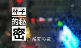 桂林饭店爆料视频最新版,揭秘幕后真相与惊人内幕