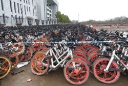 共享单车被盗最新爆料,最新爆料揭示惊人真相