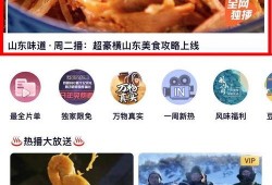 山东食品爆料网红视频,揭秘食品安全背后的真相
