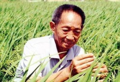 国外爆料袁隆平视频大全,揭秘农业巨擘的传奇人生
